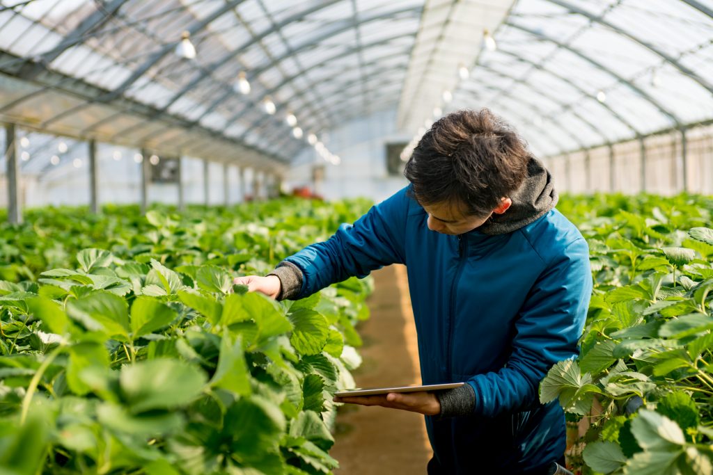 Enviresearch Plant Inspection